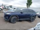 Toyota RAV4 Xle Image 11
