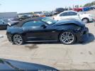 Ford Mustang Gt Premium Image 11