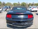 Ford Mustang Gt Premium Image 13