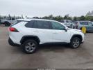 Toyota RAV4 Xle Image 2