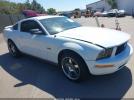 Ford Mustang Image 1
