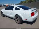 Ford Mustang Image 6