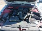Ford Mustang Image 4
