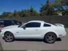 Ford Mustang Image 15