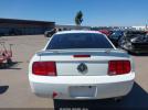 Ford Mustang Image 2
