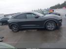 Ford Mustang Select Image 8