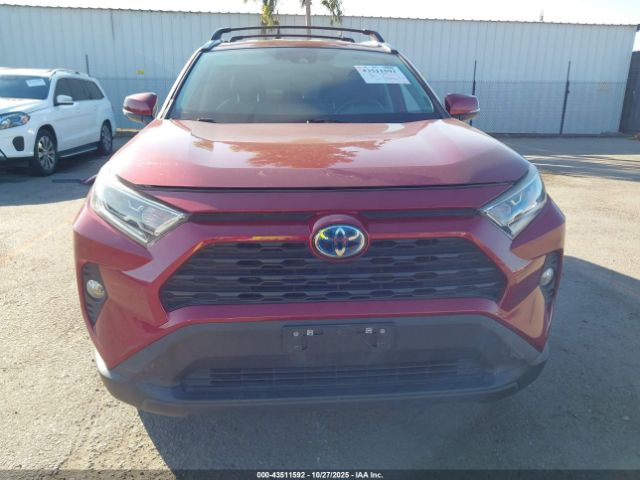 Toyota RAV4 Xle Image 3