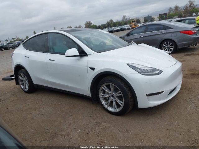 Tesla Model Y Image 1