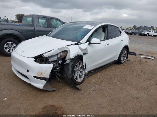 Tesla Model Y Image 7