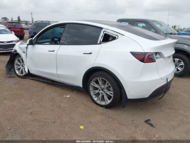 Tesla Model Y Image 13