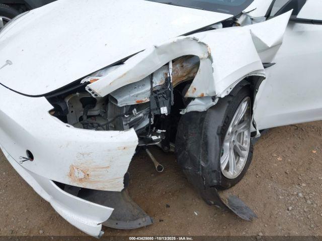 Tesla Model Y Image 11