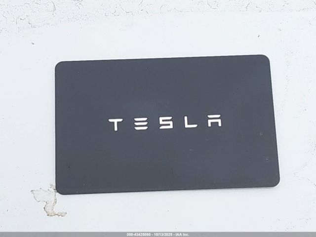 Tesla Model Y Image 19