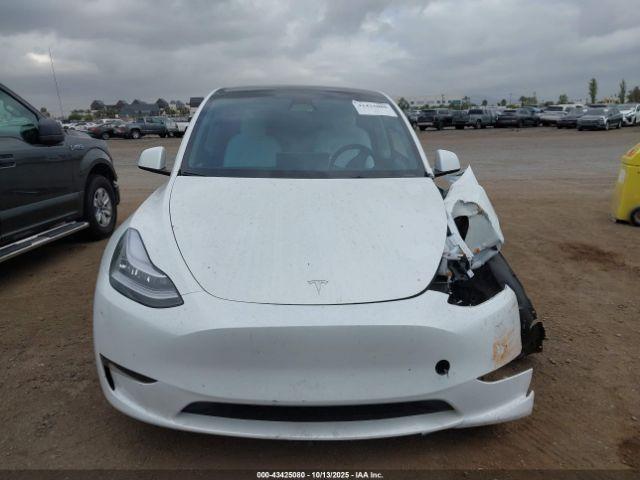 Tesla Model Y Image 17