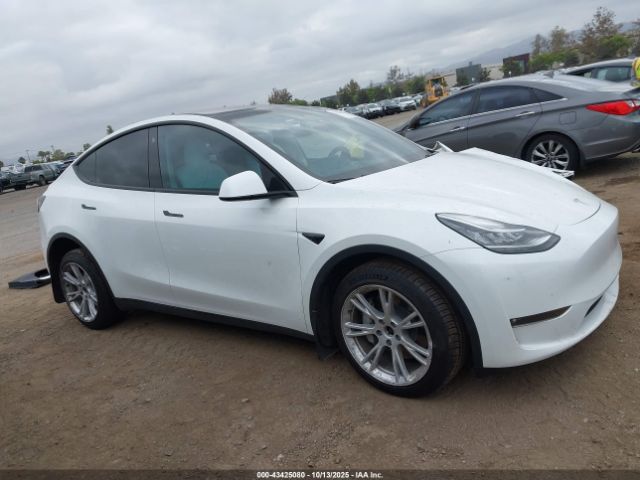 Tesla Model Y Image 3