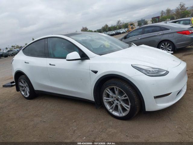 Tesla Model Y Image 3