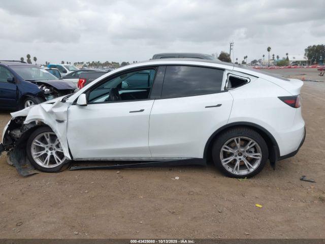 Tesla Model Y Image 6