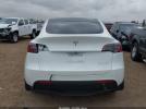 Tesla Model Y Image 5