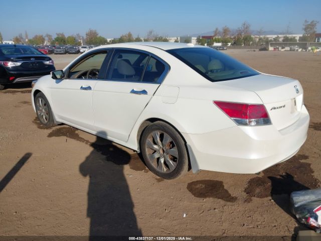 Honda Accord 3.5 Ex-l Image 3