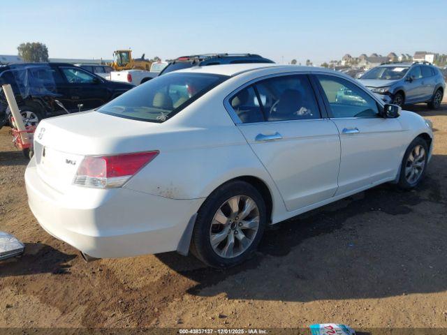 Honda Accord 3.5 Ex-l Image 5