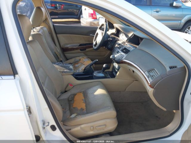 Honda Accord 3.5 Ex-l Image 2