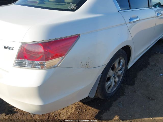 Honda Accord 3.5 Ex-l Image 7