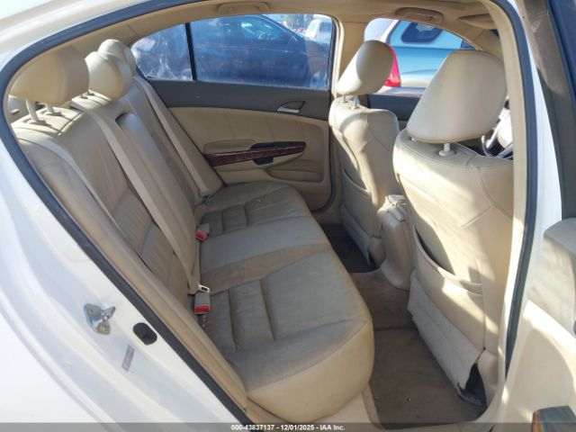 Honda Accord 3.5 Ex-l Image 8