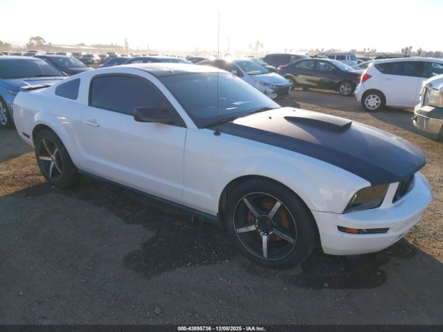 Ford Mustang Image 1