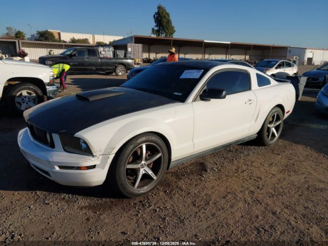 Ford Mustang Image 3