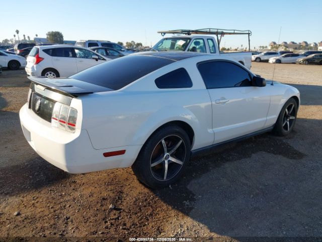 Ford Mustang Image 2