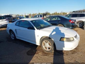  Salvage Ford Mustang
