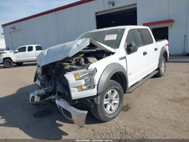 Ford F-150 Xlt Image 13