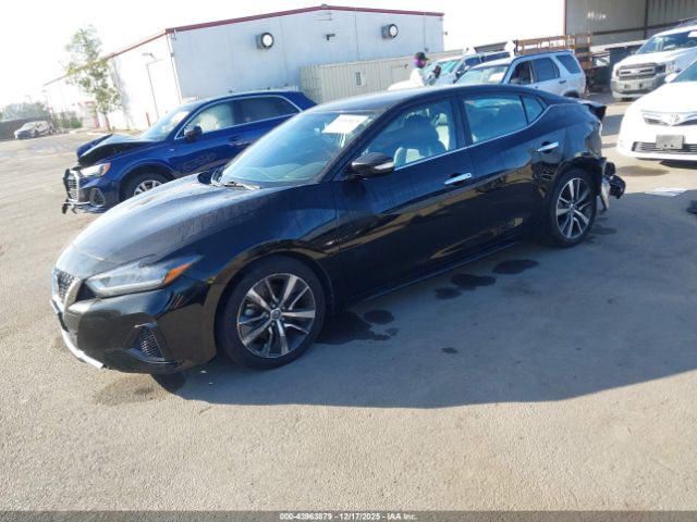 Nissan Maxima 3.5 Sv Image 3