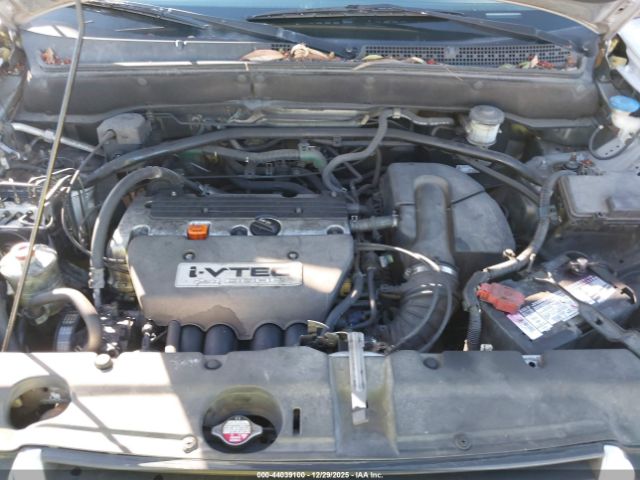 Honda CR-V Ex Image 7