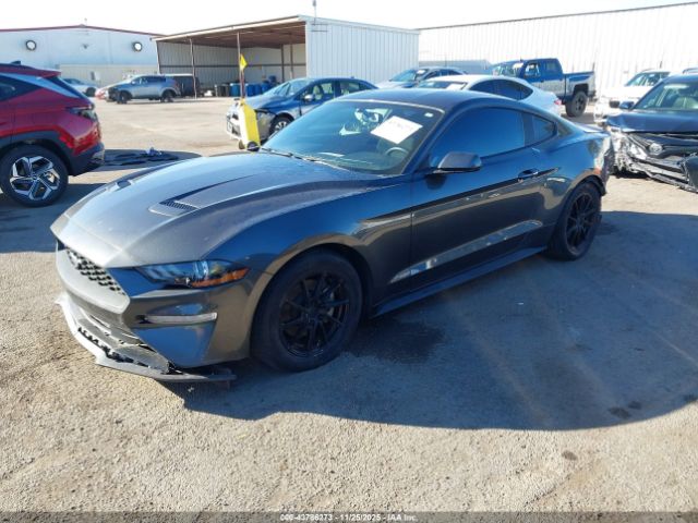 Ford Mustang Ecoboost Image 10