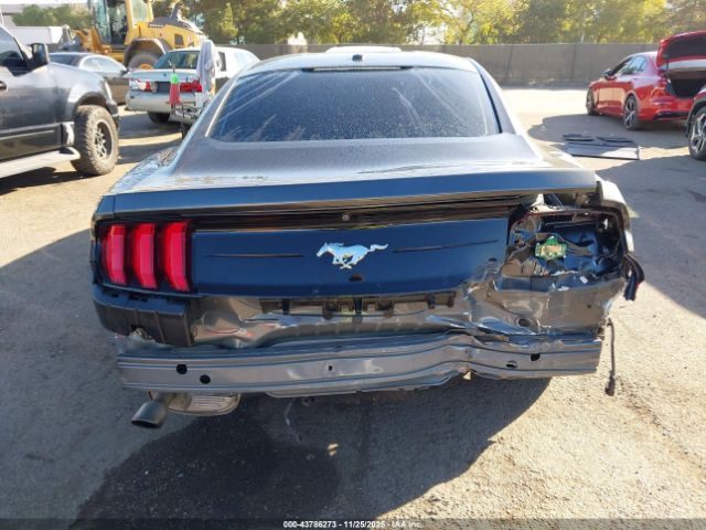 Ford Mustang Ecoboost Image 12