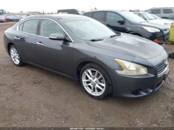  Salvage Nissan Maxima