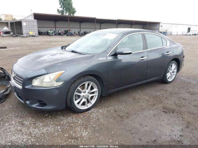 Nissan Maxima 3.5 Sv Image 2