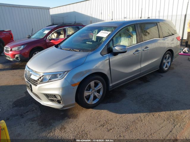 Honda Odyssey Image 4