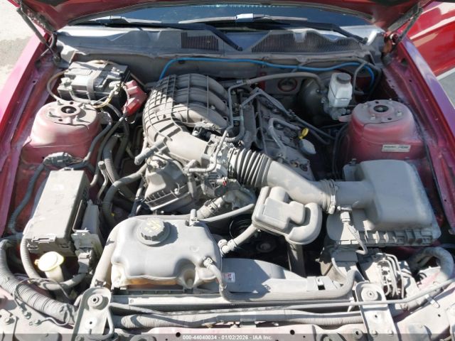 Ford Mustang V6 Image 2