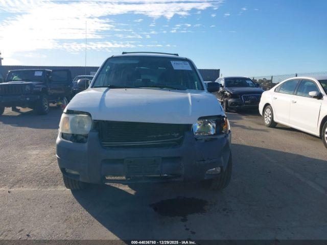 Ford Escape Xlt Image 2