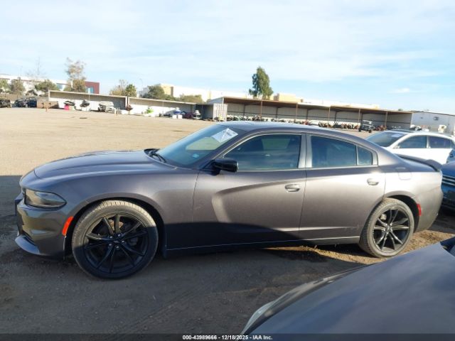 Dodge Charger Sxt Plus Rwd Image 7