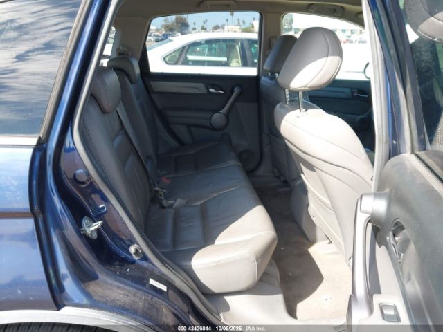 Honda CR-V Ex-l Image 6