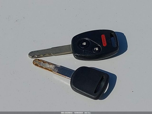 Honda CR-V Ex-l Image 7